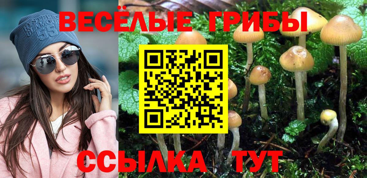 Галлюциногенные грибы Psilocybine cubensis Фурманов