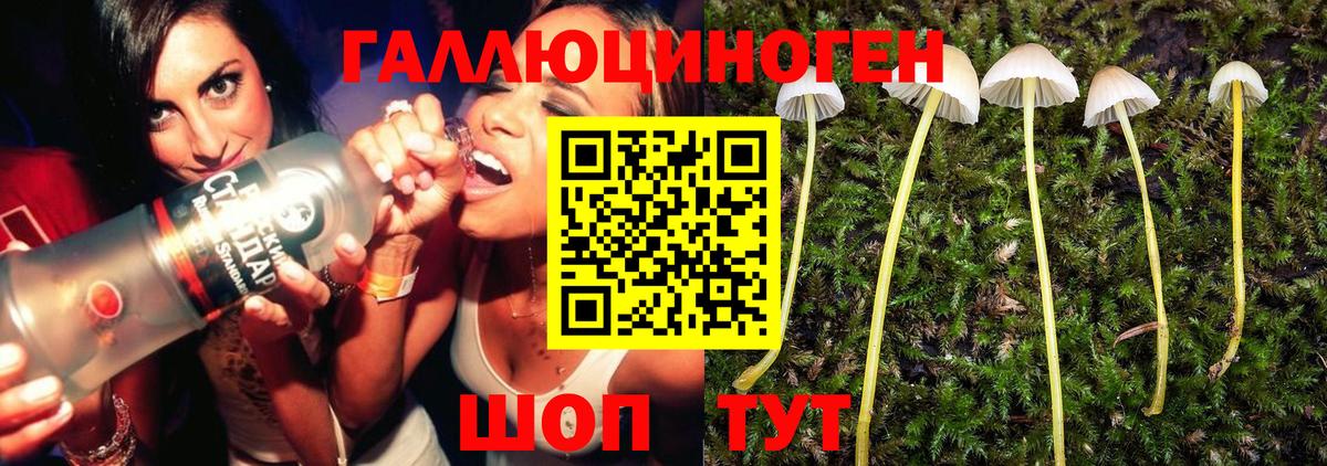 Фурманов  Псилоцибиновые грибы мухоморы  Вход с VPN  Псилоцибиновые грибы MAGIC MUSHROOMS 